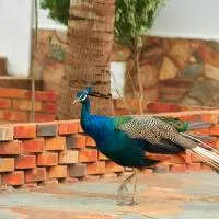 The Haven Boutique Hotel, hotell i Kumasi