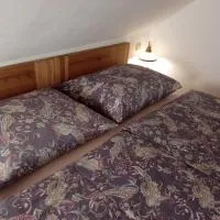 Zubčická Lhotka에 위치한 호텔 Pension Fanlor