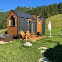 Zell-Freibach में, होटल The Alpine Experience by Tiny Away