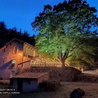 Maison des Cévennes - Refuge, hotel u gradu 'Arphy'