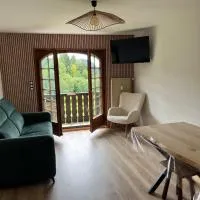 Studio cosy proche du centre, Hotel in Les Gets
