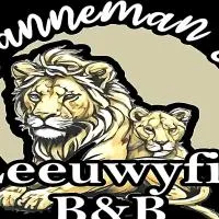 Janneman Se Leeuwyfie B&B, Hotel in Odendaalsrus