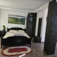 Casa Rico 2, hotel en Tulcea