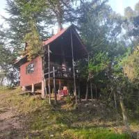 Cabaña sesquile del arbol, hotel sa Sesquilé