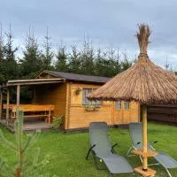 Villa de Alvydo Anykščiuose – hotel w mieście Onikszty