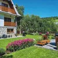 Apartamenty u Basi，Leśnica的飯店