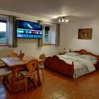 Wohnung im ländlichen Flair, מלון בבאד זל