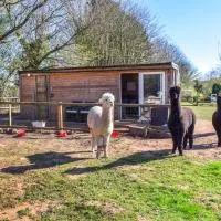 Alpaca Lodge, מלון בActon