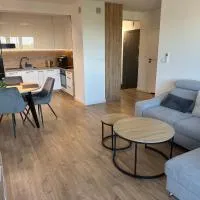 Apartament Rzemieślnicza Premium z klimatyzacją i garażem podziemnym – hotel w Głogowie