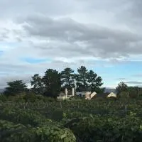 Nga Pari Vineyard, hotel v destinácii Gladstone