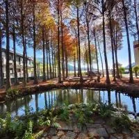 寵物友善 漫步森活 九佃落羽松民宿 – hotel w mieście Guoxing