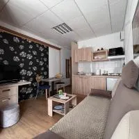 Apartment Čolović, hotel din Raška