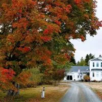 The Parrsboro Mansion Inn، فندق في Parrsboro
