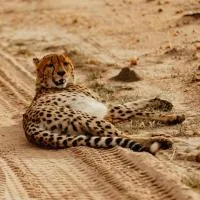 Radisson Safari Hotel Hoedspruit, hotel u gradu 'Hoedspruit'