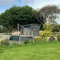 Ty'r Bugail - Shepherds Hut, hotel a Llanddwywe