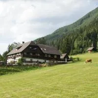 Der Perweinhof, hotell sihtkohas Donnersbachwald