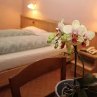 Albergo Caravasc, hotel v Livignu