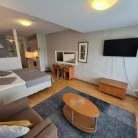 Ikaalisten Kylpylä Apartamentos rantahuoneisto Terme, hótel í Ikaalinen