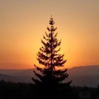 Harmony Retreat, hotell i Dealu Negru