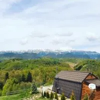 Cabanuta din munti, хотел в Моечу де Жос