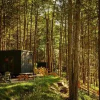 Postcard Cabins Eastern Catskills, Outdoor Collection by Marriott Bonvoy, hotel v destinaci Catskill