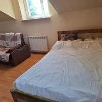 Pokoje u Zbigniewa, Hotel in Chechło