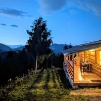 Cabana doi mesteceni, ξενοδοχείο σε Drumu Carului