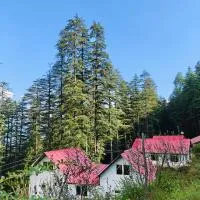 Mistymountaincottage, hotel a Simla