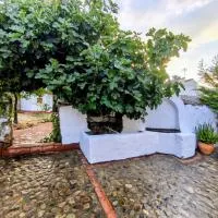 El Corral de la Higuera, готель у місті Campofrío