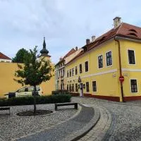 Hotel Kapitán, hotell i Žatec