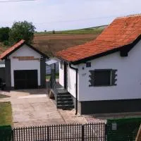 Baranja Luxury House, hotel in Kamenac