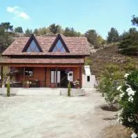 Agros Timber Log House, hotel em Agros
