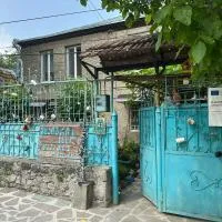 Hotel Artist's House, hotel i Tʼetʼri Tsqaro