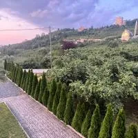 Sea and Natural Adalet Suits, hotel en Trabzon