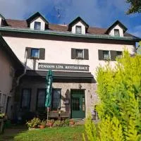 Pension Lípa, hotel Horní Maršovban