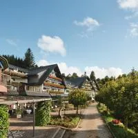 Hotel Dollenberg, hotel v destinaci Bad Peterstal-Griesbach