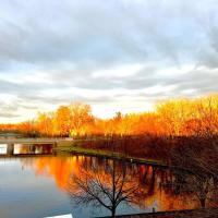 Modern Heritage Oasis with Beautiful Tay Basin View, hotel near Smiths Falls-Montague Airport - YSH, Perth