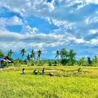 Rumi Bumi - Lovina Rice Terrace Boutique Stay, hotel v mestu Lovina