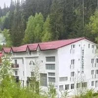 Hotel NOU Codrin, отель в Ватра-Дорнее