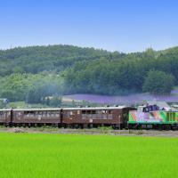My STAGE, hotel poblíž Letiště Asahikawa - AKJ, Asahikawa