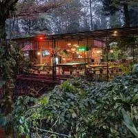 The Pinewood Lodge and Organic Farm, khách sạn ở Paragajen