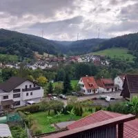 Talblick & Ruhe in Hirschhorn Langenthal、ヒルシュホルンのホテル