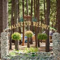 JW Vallecito: Vallecito şehrinde bir otel
