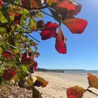 Seashells of Seaforth, хотел в Seaforth