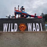 Wildwadi Water Park and Resort, hotel near Jeypore Airport - PYB, Jagdalpur
