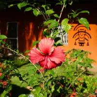 Chakana Yoga Homestay, hotel 