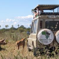 Safari Junction Backpackers hostel, hotel near Nduli - IRI, Iringa
