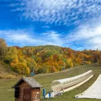 Hotel Junior: Kopaonik'te bir otel