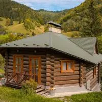 Camp Bilyi Slon, hotel a Dzembronia