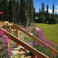 Southern Lakes Resort, hotel in Tagish